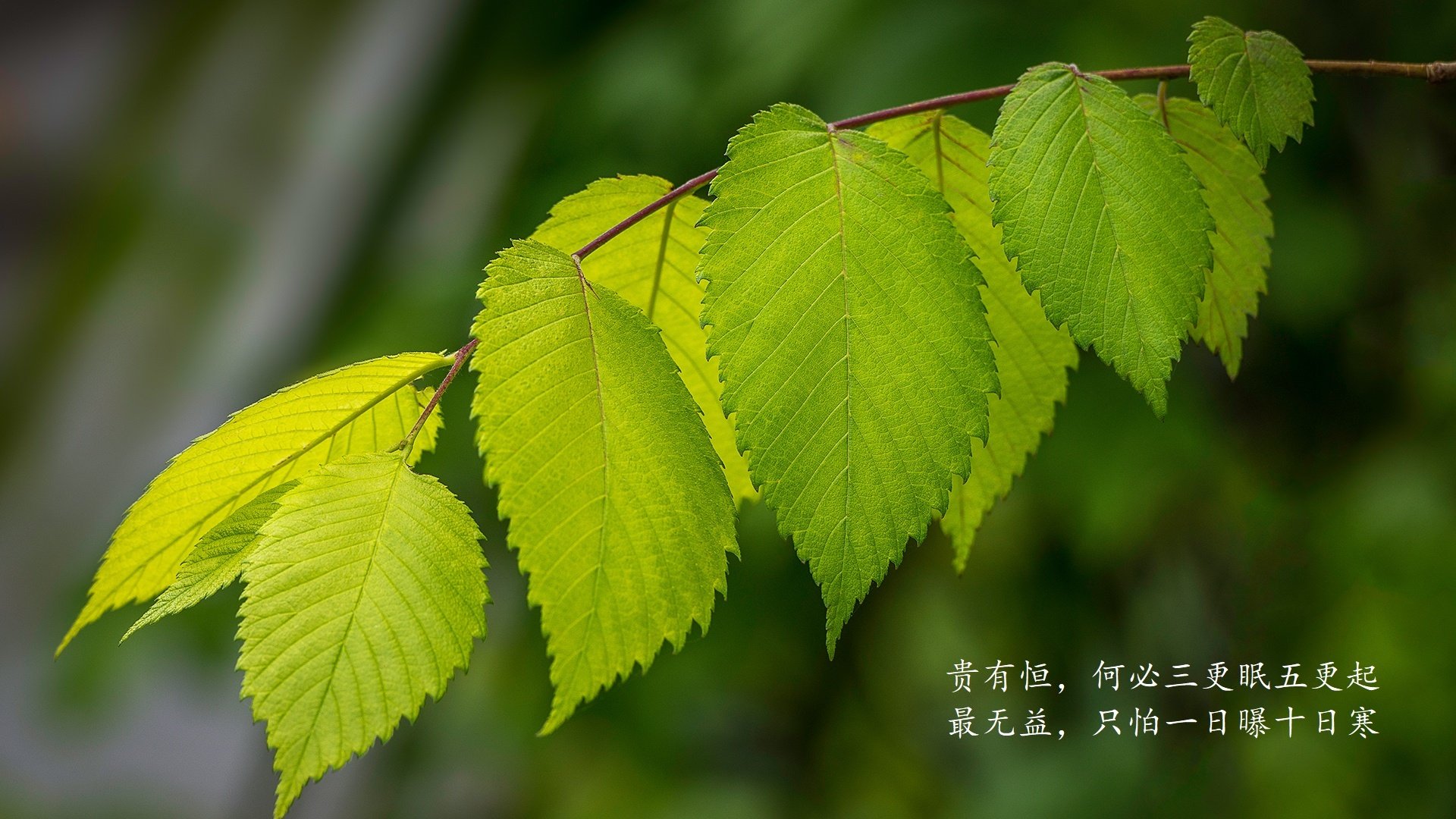 家用照明一般用多大的电线（家用照明多少V是正常呢）